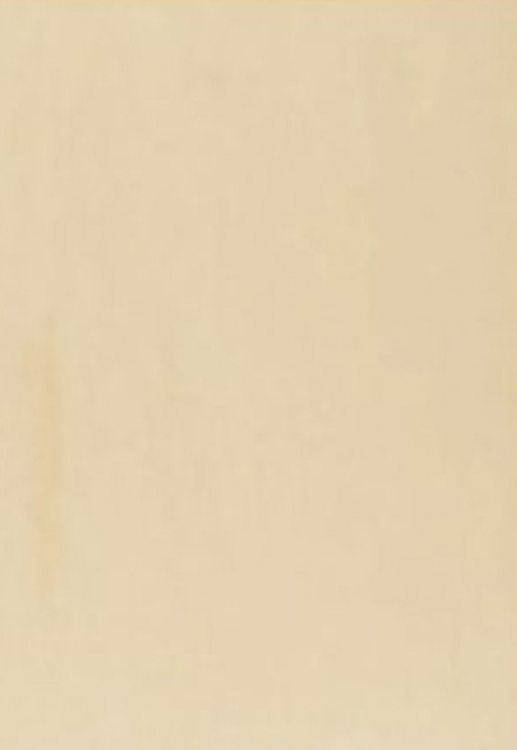 Color: Ivory